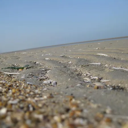 Fletcher Hotel-restaurant Duinzicht אאודורפ