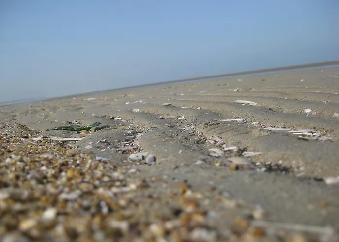 Fletcher Hotel-restaurant Duinzicht Ouddorp