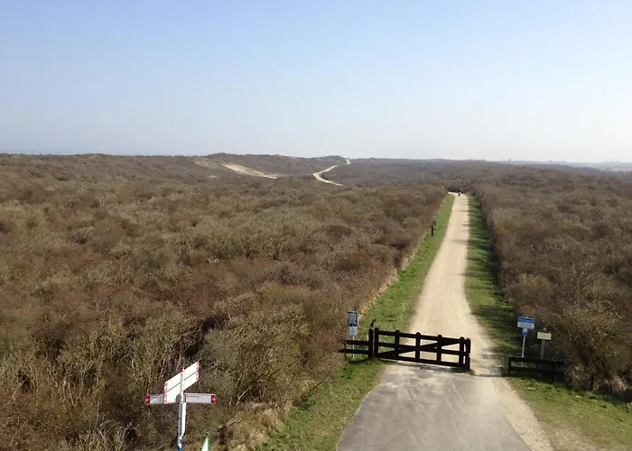 Hotel Fletcher Hotel-restaurant Duinzicht