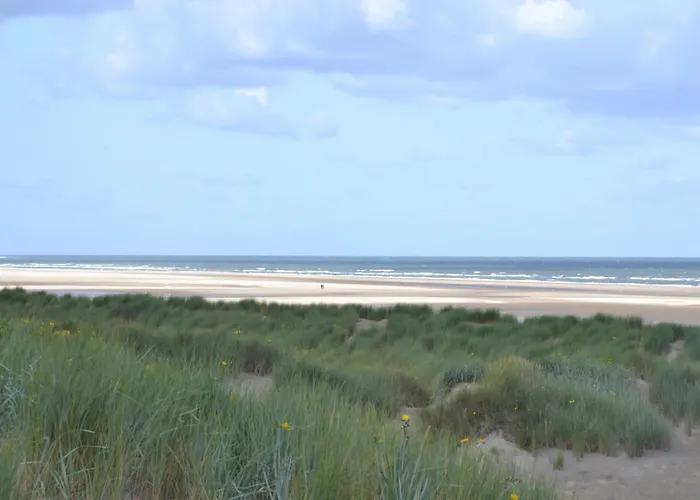 Fletcher Hotel-restaurant Duinzicht 4* Ouddorp